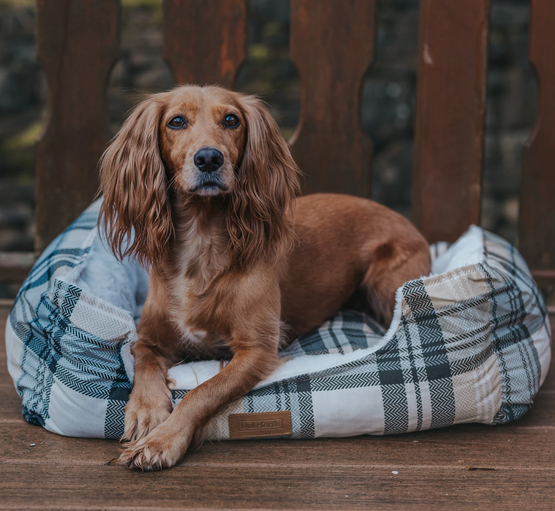 Luxury Dog Beds for Ultimate Comfort