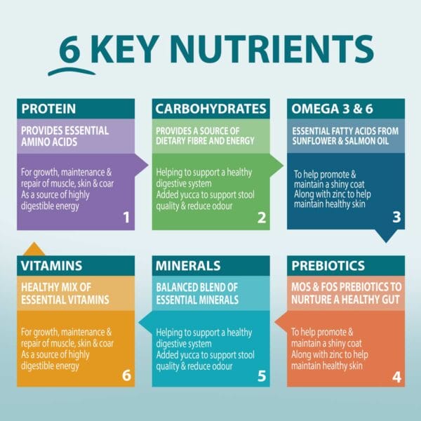 6 Key Nutrients