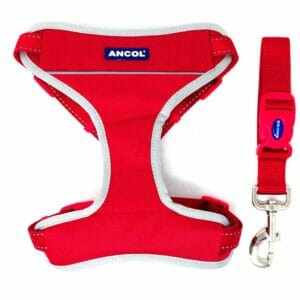 Ancol harness Red